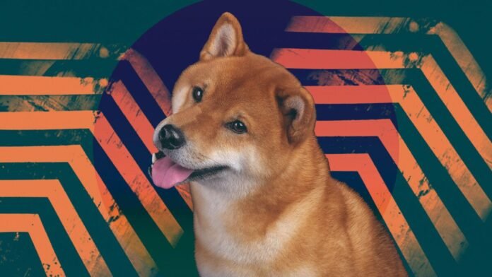 Shiba Inu token holder turns $17 into $5.9 million