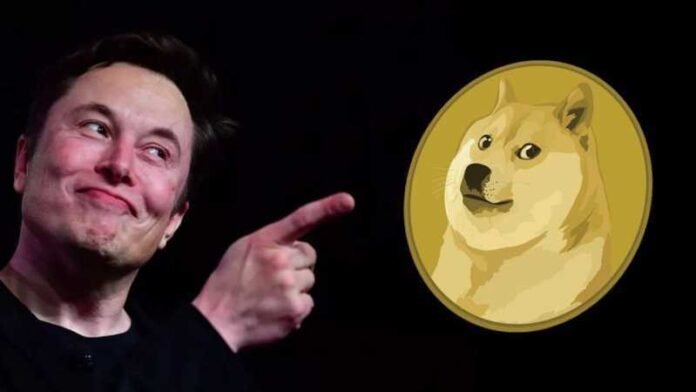 Will Tesla add Dogecoin as next payment option? Elon asks in Twitter poll