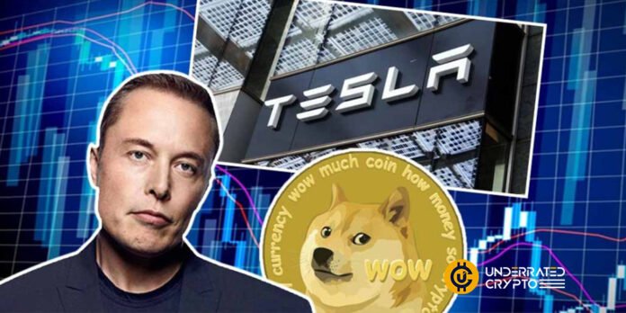 Dogecoin could do a better job at payment than Bitcoin and Ether, says Musk